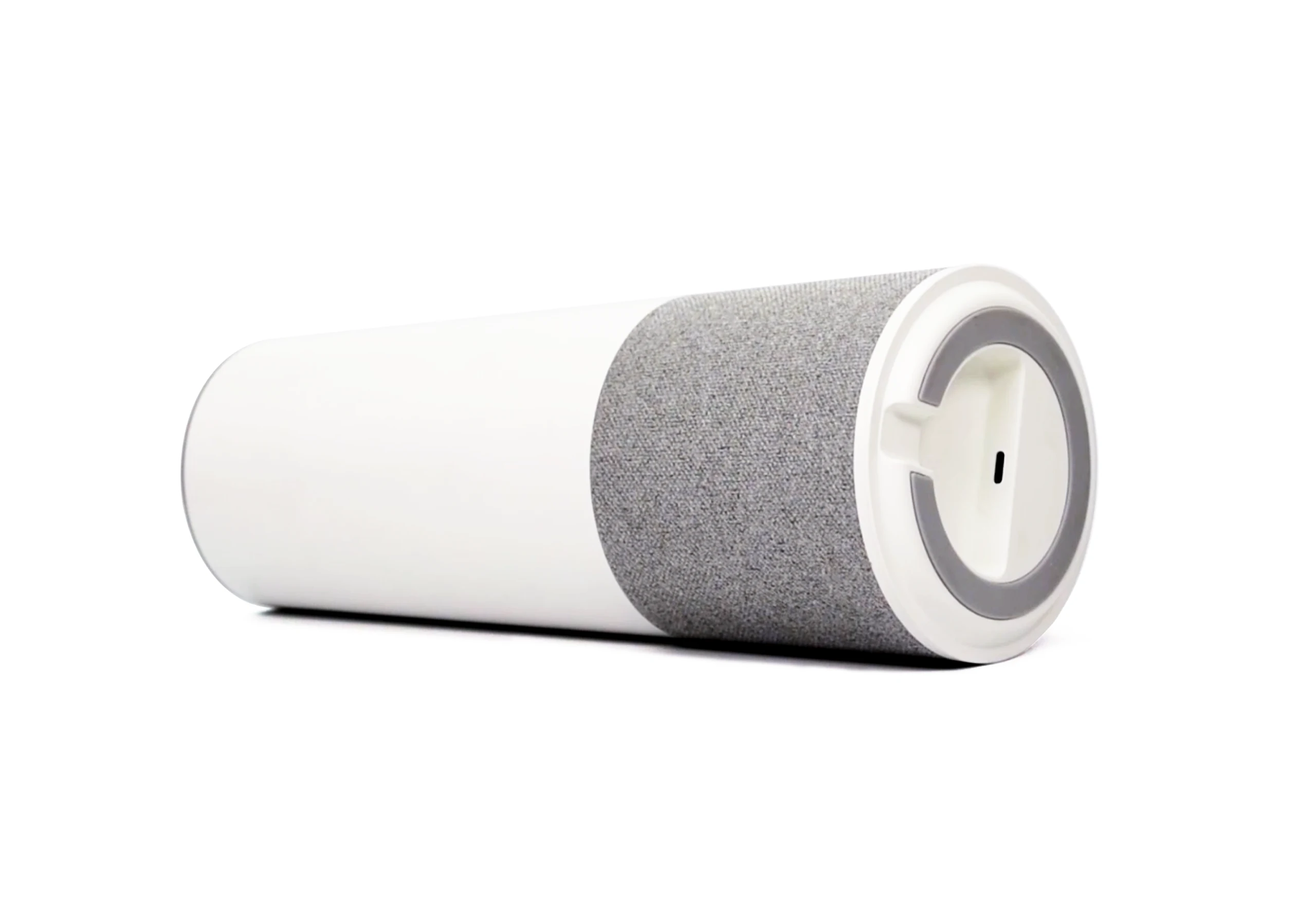 আইক্যাম 100