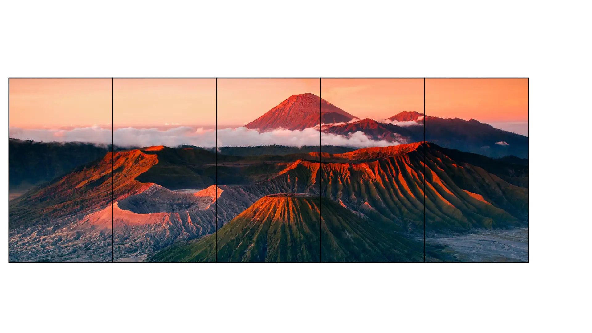  Porträtlayouts unterstützen