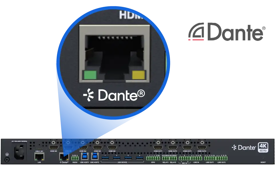  دعم دانتي الصوت