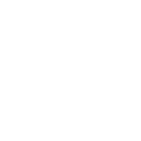 20x Optical Zoom