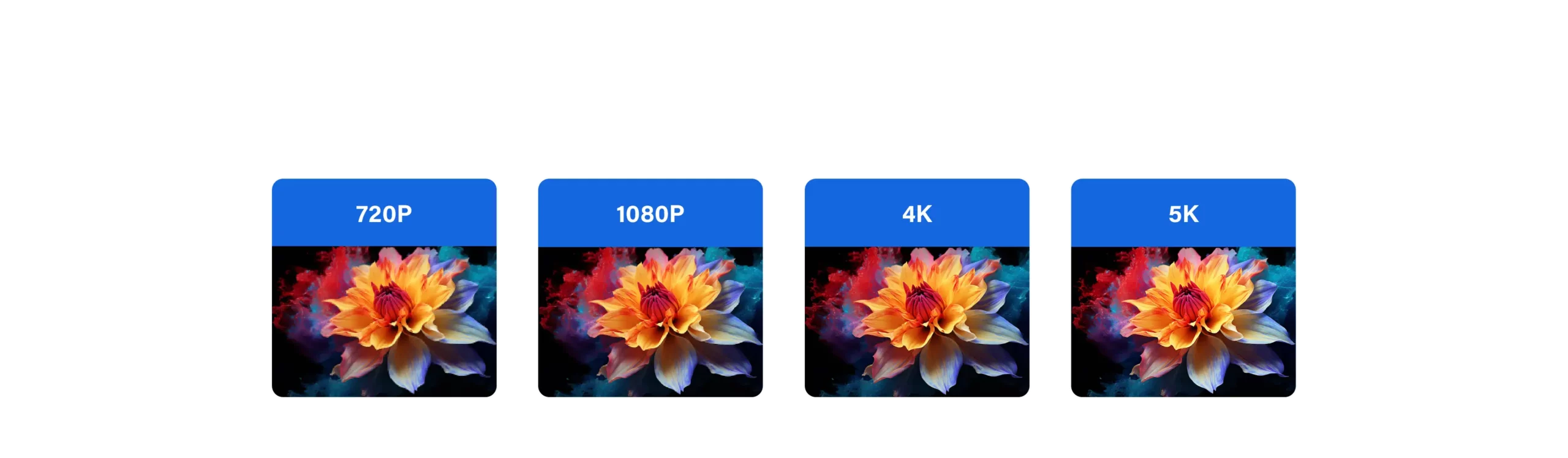  Future-proof 5K Video